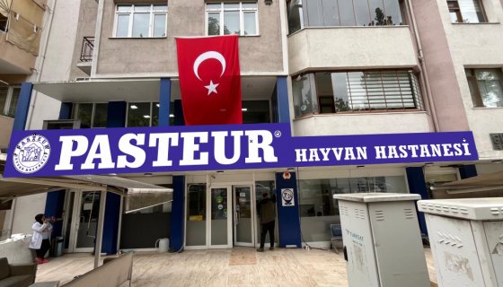 PASTEUR HAYVAN HASTANESİ